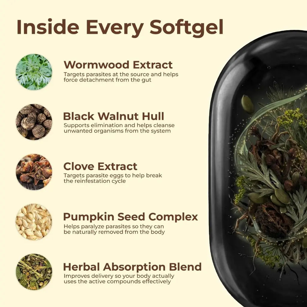 Flush Out Hidden Parasites & Larvae with Wormwood, Black Walnut & Cloves